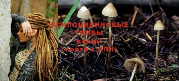 spice Дмитровск