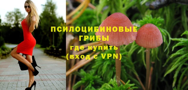 spice Дмитровск